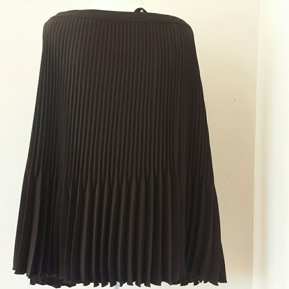 Elegance Dresses & Skirts - Elegance Paris accordion pleated skirt sz 16